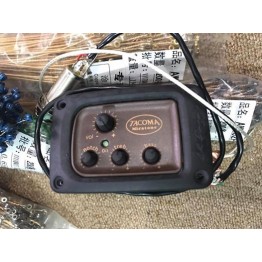 EQ guitar TACOMA USA