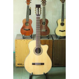 Guitar CLASSIC D25