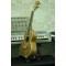 Đàn ukulele MS B700F